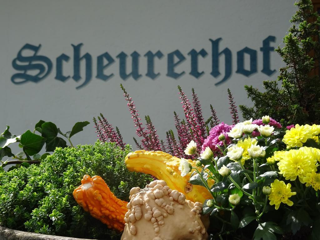 Scheurerhof Apartment Tux Phòng bức ảnh
